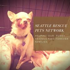 Seattle Rescue Pets Network