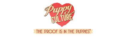Check spelling or type a new query. Amazon Com Puppy Culture The Powerful First 12 Weeks That Can Shape Your Puppy S Future Dvd Edition Puppy Culture Pet Supplies