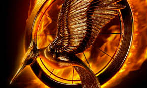 Image result for catching fire