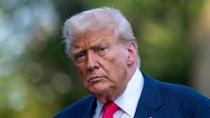 Trump claims Epstein files are faked, but many documents have been public  for years