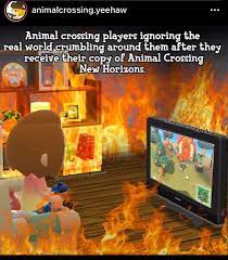 Animal Crossing New Horizons Meme Animal Crossing Funny Animal Crossing Animal Crossing Memes