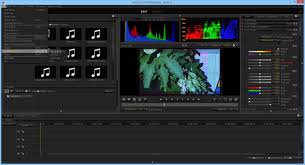 REDCINE-X PRO Download Free (Windows) - 52.2.50136 | Softpedia