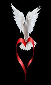 Download 30 Hd I Love You Images Pictures Wallpapers Photos For Facebook Whatsapp White Doves Love Wallpaper For Mobile Love You Images