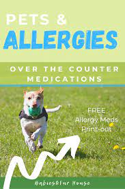 Allergies In Dogs Over The Counter Medications Bf House Dog Allergies Pet Allergies Pets