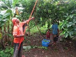 FINAL PROJECT REPORT