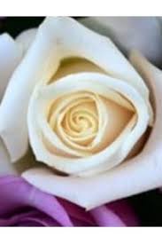 Kent Adams Obituary in Lafayette at Jeff Jones Funeral Home