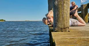Se hvornår både udbyhøj færgen og ragna færgen sejler, samt andre relevante oplysninger omkring sejladsen. Naturpark Randers Fjord