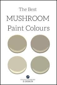 The lrv stands for light reflectance value and measures the percentage of light that a color reflects. Keystone Grey Sherwin Williams Exterior Novocom Top