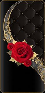 100 Roses Ideas Beautiful Roses Beautiful Flowers Beautiful Gif