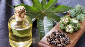 Other castor oil side effects include fainting, shortness of breath, and, in rare cases, hallucinations (3). Fue6eltu5ceqkm