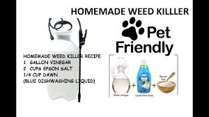 Most importantly, it is completely safe for pets and peoples. Homemade Weed Killer Diy Vinegar Epson Salt Dawn Pet Friendly Youtube