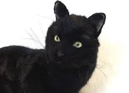 See more ideas about cats, small stuffed animals, plush stuffed animals. Realistic Black Cat Stuffed Animals Cheap Online