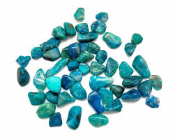 Image result for Chrysochloa