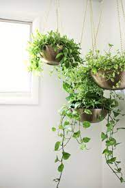 Easy Hanging Planter Diy A Beautiful Mess Bathroom Plants Decor Diy Hanging Planter Plant Decor Indoor