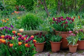 11 3k Likes 91 Comments Monty Don Themontydon On Instagram The Jewel Garden