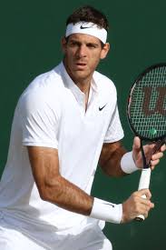 He's silent for a moment. Juan Martin Del Potro Wikipedia