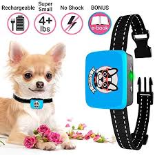 Bark Collar Small Dog Rechargeable Dog Barking Collar F Https Www Amazon Com Dp B07mbv5779 Small Dog Bark Collar Stop Barking Collar Dog Training Collar