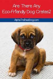 900 Dog Kennel Training Ideas Dog Kennel Kennel Dogs