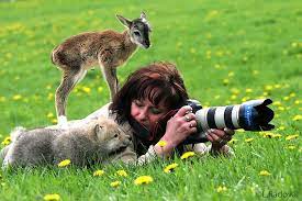 Why Being A Nature Photographer Is The Best Job In The World 20 Photos I Can Has Cheezburger Cute Animal Pictures Funny Animals Funny Animal Pictures
