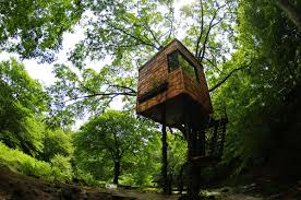 Inspirational pictures of great tree houses by baumraum. 15 Most Awesome Tree Houses From Around The World