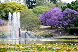 Please see our community guidelines under the notes tab. A Deep Dive Into Uq Lakes Sustainability University Of Queensland