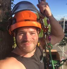 Terry Treefella Holland