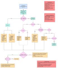 Image result for Fever Without Focus Red Flags