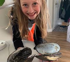 Mussel movement: How'd these giant aquatic visitors get into an Alberta  stormwater pond?