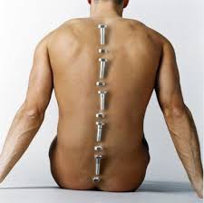 Pin On Back Physical Therapy