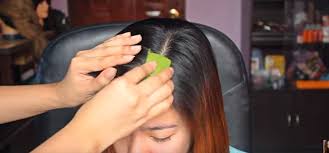 تنعيم الشعر الخشن ٢٠ وصفة منزلية بسيطة ثقف نفسك