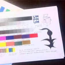 Luc Luc Today I Made This Riso Color Chart Colorchart
