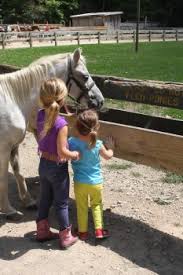 These include saddle barns, which offer horseback rides and hay rides; 6 Things To Do At Brown County State Park Indy S Child Magazine