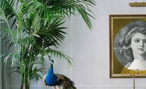 Para a divulgação de cursos e programas para diabetes see more of como cuidar da saúde on facebook. Palmeira Rafia Caracteristicas Como Cuidar Dicas E Fotos De Decoracao