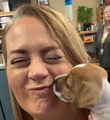 Could those of you who got a puppy recently or are considering a puppy at  the moment help me settle a debate? What were your top 5 considerations  when weighing up your