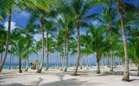 South India Tropical Paradise Wallpaper Paradise Wallpaper Beautiful Places To Visit