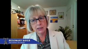 State Senator Rosemary Bayer talks Gun ownership laws, redistricting, and  upcoming elections