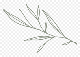 Large collections of hd transparent greenery png images for free download. Greenery Png Black And White Transparent Png Vhv