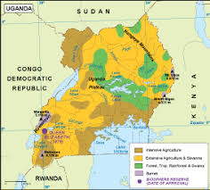 Belgian satellite vegetation map 1996. Uganda Vegetation Map Order And Download Uganda Vegetation Map