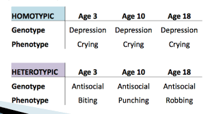 He has begun to make excuses for not hanging with friends and frequently conceals the fact that he is staying late at. Chapter 7 Personality Stability Development And Change The Personality Puzzle 8th Edition Psy 2530 Flashcards Quizlet