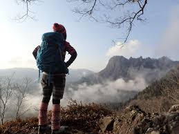 ライブドアブログ