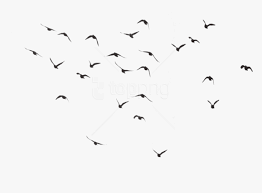 Large collections of hd transparent bird house png images for free download. Free Png Bird Silhouette Group Png Images Transparent Birds Png Png Download Transparent Png Image Pngitem