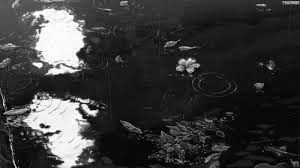 Anime Black And White Background Aesthetic Https Encrypted Tbn0 Gstatic Com Images Q Tbn 3aand9gctoekynh7fzrs05ynthftqoqbczybzkr L4lg Usqp Cau