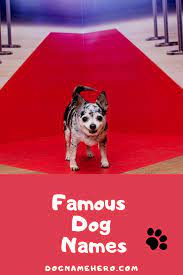 This is one of the most popular series in the entire history which is named after the famous great dane. 110 Famous Dog Names From Movies Tv Literature Dog Name Hero