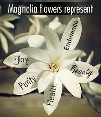 Magnolia Flower Symbolism And Meaning Magnolia Flower Flower Meanings Magnolia