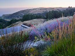 Sonoma vineyard estates sonoma, ca. Home Landscape Architecture Garden Design California San Francisco Sonoma