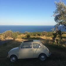 Olive Tree Fiat 500 Sea It May Be A Cliche But No Less Lovely For That