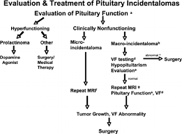 Flow Diagram For The Evaluation And Treatment Of Pituitary
