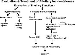 flow diagram for the evaluation and treatment of pituitary