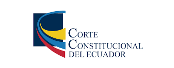 The constitutional court and the supreme court are the highest judicial bodies of russia. Historical Judgment Of The Constitutional Court Of Ecuador Cele