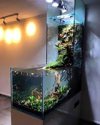 Riparium Complete Care Guide How To Build Bantam Earth In 2020 Aquarium Design Amazing Aquariums Fish Tank